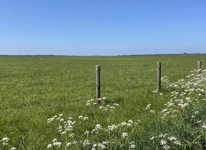 Eetruimte in Grevelingenhuisje met sauna, Herkingen, Goeree-Overflakkee, vakantiehuis met stijlvolle eettafel en hanglamp.