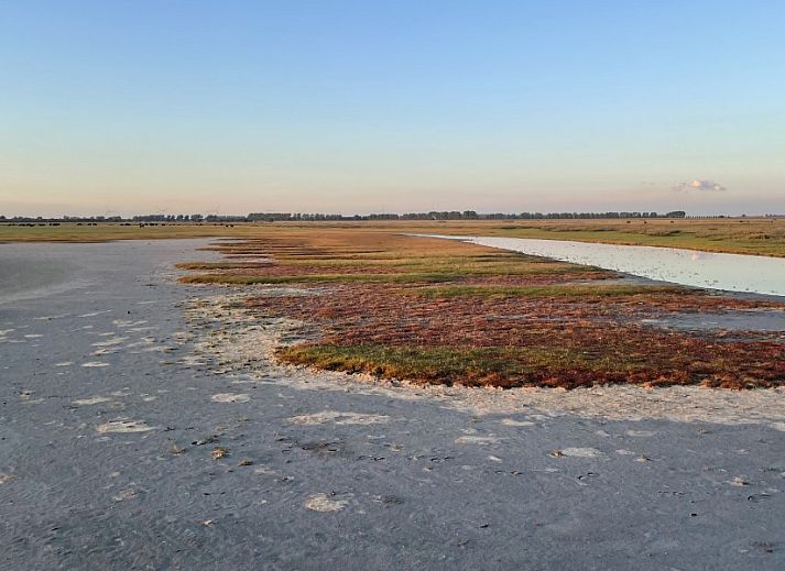 Moderne keuken in Grevelingenhuisje met sauna, Herkingen, Goeree-Overflakkee, vakantiehuis met groene tegelwand en inbouwapparatuur.