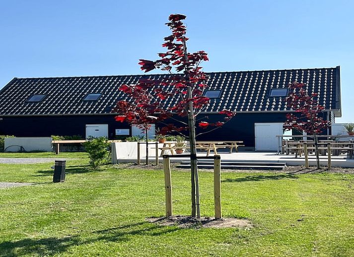 Guest house 661406 - Holiday property Goeree-Overflakkee - Bij Zee II Vloed