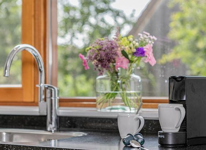 Guest house 670828 - Bungalow Groene hart - De Reeuwijkse Plassen | 4-persoons waterwoning - Vlist | 4L