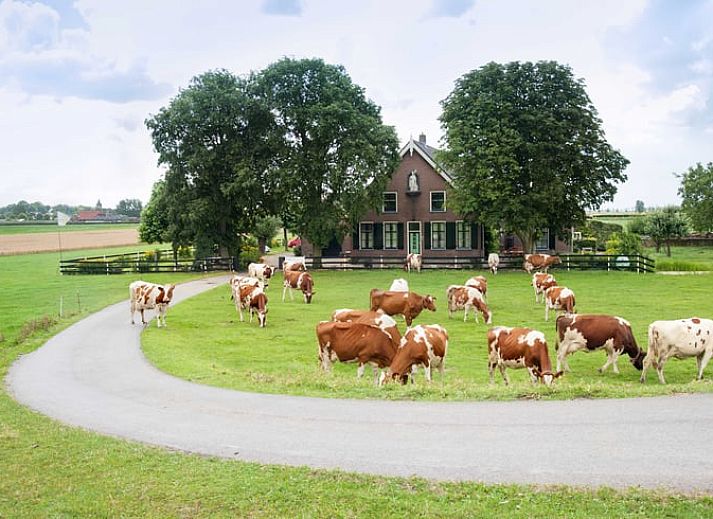Guest house 670904 • Holiday property Groene hart • Huisje in Nieuwveen