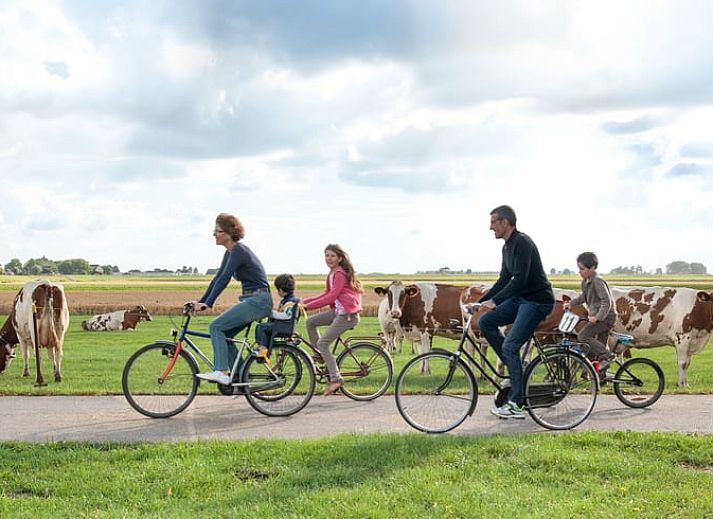 Tischtennisspass im Erholungsraum des Cottage in Nieuwveen, Gruenes Herz, Suedholland