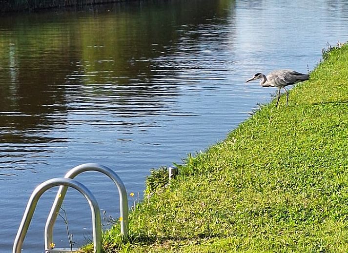 Open doors to interior of Holiday Home in Nieuwveen, South Holland.