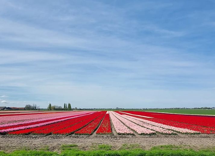 Modern kitchen in Holiday cottage in Nieuwveen, Green Heart, South Holland.