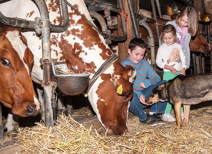 Vacation home in Nieuwveen surrounded by grazing cows in the Green Heart of South Holland.
