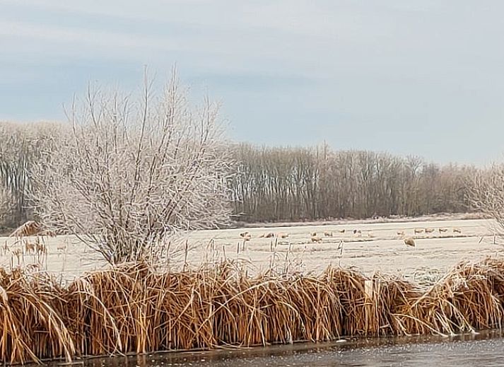 Stilvolles Wohnzimmer von Huisje in Nieuwveen, Ferienhaus in Green Heart, Suedholland.