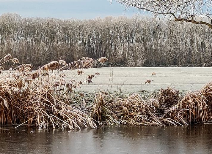 Stilvolles Wohnzimmer von Huisje in Nieuwveen, Ferienhaus in Green Heart, Suedholland.