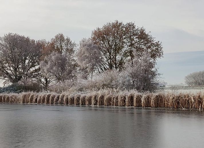 Offene Tueren zum Garten in Cottage in Nieuwveen, Ferienhaus in Green Heart, Suedholland.