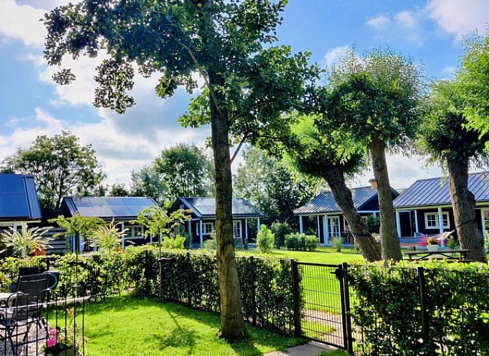 Offene Tueren zum Garten in Cottage in Nieuwveen, Ferienhaus in Green Heart, Suedholland.
