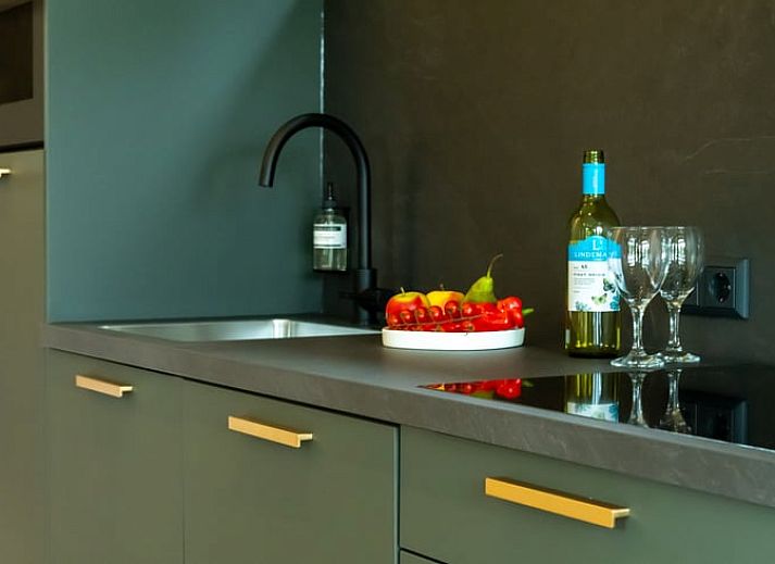 Ferienhaus in Alphen aan den Rijn mit schoener Terrasse und gruenem Garten, gelegen im Gruenen Herzen von Suedholland.