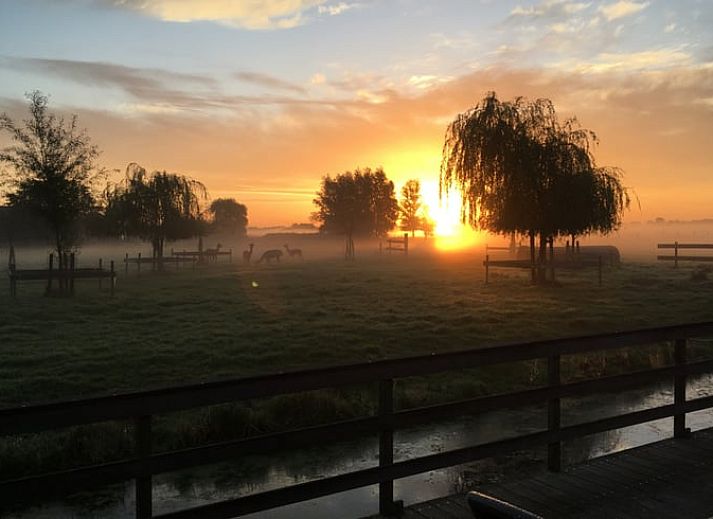 Guest house 671108 - Holiday property Groene hart - Vakantiehuisje in Alphen aan den Rijn