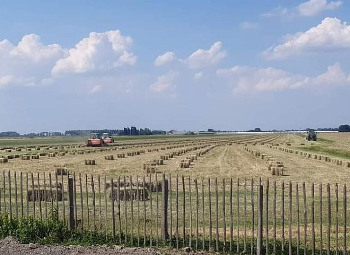 Unterkunft 671112 - Ferienhaus Groene hart - Vakantiehuisje in Alphen aan den Rijn