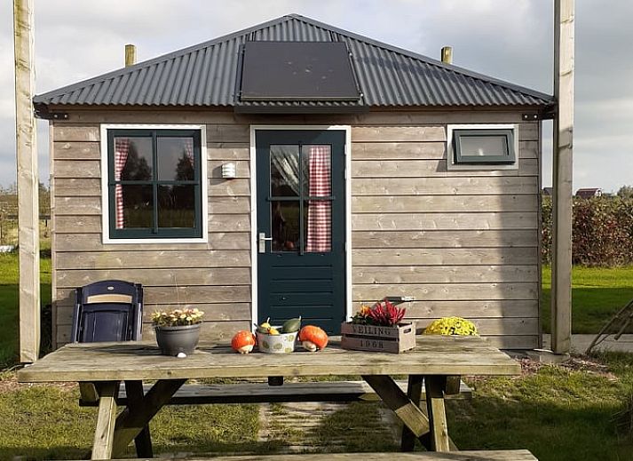 Gezellige trampoline bij Vakantiehuis in Woerdense Verlaat, Groene hart, Zuid-Holland, perfect voor kinderen.