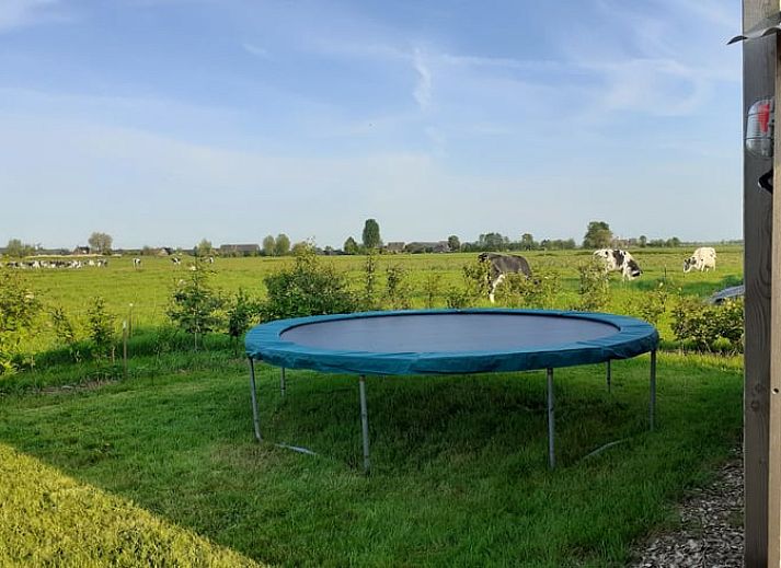 Buitenterras met picknicktafel bij Vakantiehuis in Woerdense Verlaat, ideaal voor buitenmaaltijden.