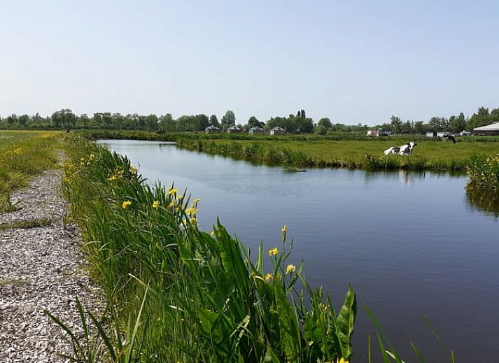 Rustgevend uitzicht op de omgeving van Vakantiehuis in Woerdense Verlaat met ochtendnevel.