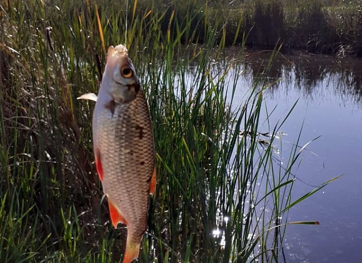 Vakantiehuis in Woerdense Verlaat met ruime grasvelden, ideaal voor ontspanning in Zuid-Holland.