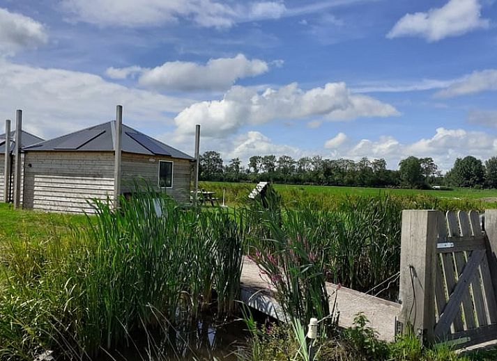 Prachtig uitzicht op weilanden en koeien vanuit Vakantiehuis in Woerdense Verlaat, Groene hart.