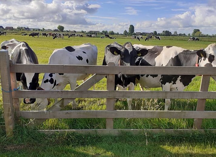 Unterkunft 671504 - Ferienhaus Groene hart - Vakantiehuisje in Woerdense Verlaat