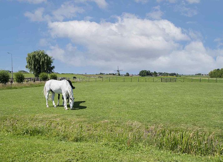 Unterkunft 671810 - Ferienhaus Groene hart - ZH058