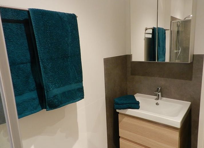 Terras met barbecue bij Vakantiehuis in Hazerswoude Dorp, Groene Hart, Zuid-Holland.