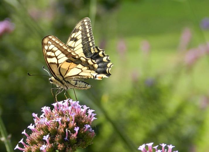 Moderne binnenruimte van Vakantiehuis in Hazerswoude Dorp, ideaal voor ontspanning.