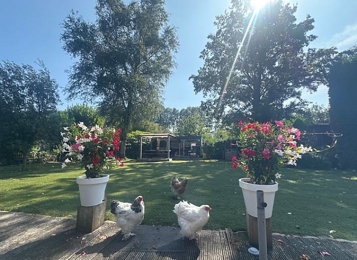 Atemberaubender Sonnenuntergang am Huisje in Zevenhoven, Ferienhaus in Zuid-Holland