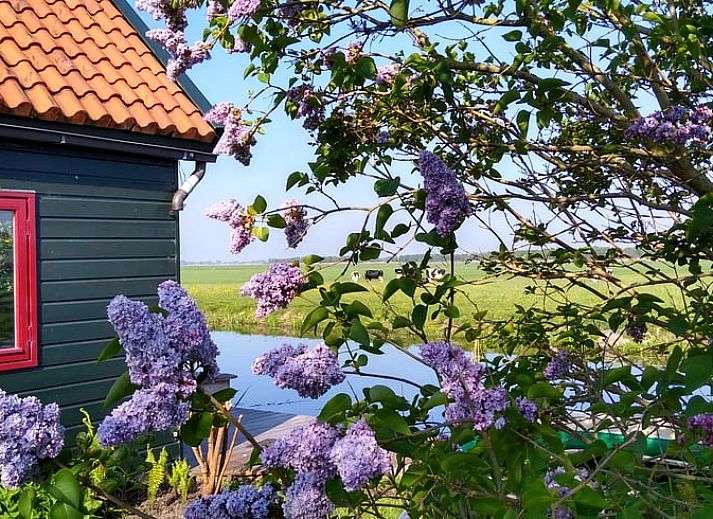 Charmant Huisje in Bodegraven met groene gevel in het Groene Hart, Zuid-Holland.