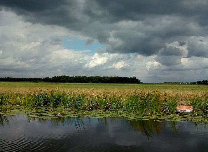 Charmant Huisje in Bodegraven met groene gevel in het Groene Hart, Zuid-Holland.