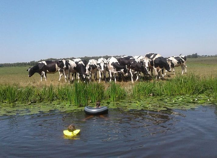 Charmant Huisje in Bodegraven met groene gevel in het Groene Hart, Zuid-Holland.