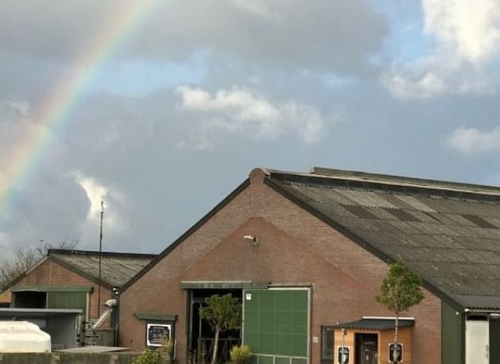 Animals and activities at Holiday Home in Leimuiden, Green Heart, South Holland for a unique farm experience.