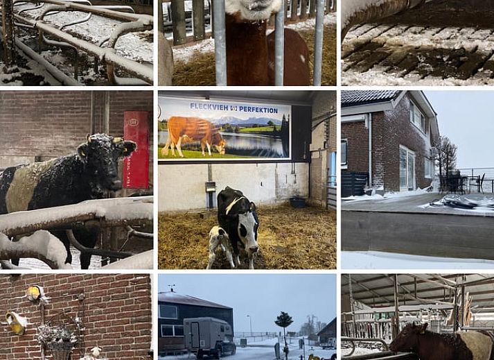 Guest house 672819 - Holiday property Groene hart - Vakantiehuisje in Leimuiden