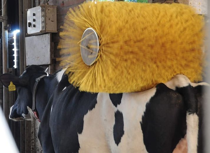 Guest house 672819 - Holiday property Groene hart - Vakantiehuisje in Leimuiden