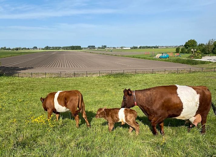 Unterkunft 672820 - Ferienhaus Groene hart - Vakantiehuisje in Leimuiden