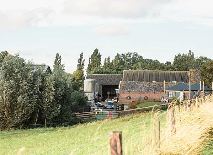 Bedroom with bunk beds in cottage in Leidschendam, ideal for families in the Green Heart.