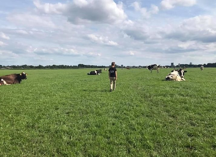 Bedroom with bunk beds in cottage in Leidschendam, ideal for families in the Green Heart.