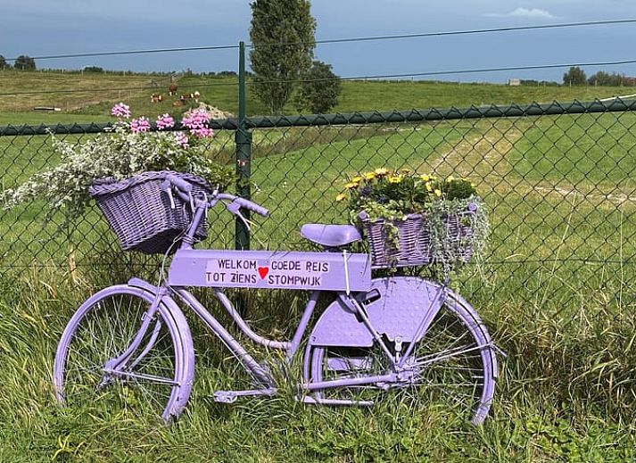 Cozy dining area in cottage in Leidschendam, overlooking the nature of South Holland.