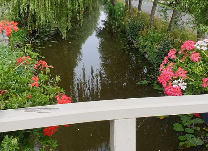 Guest house 673107 - Holiday property Groene hart - Huisje in Noordeloos