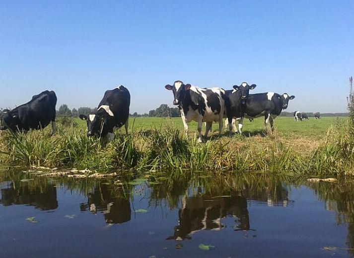 Verblijf 673205 - Vakantiewoning Groene hart - Vakantiehuisje in Aarlanderveen