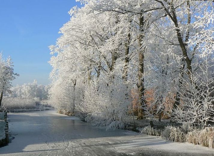 Verblijf 673205 - Vakantiewoning Groene hart - Vakantiehuisje in Aarlanderveen