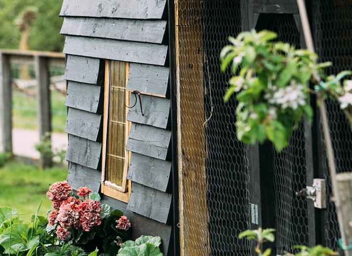 Guest house 673208 - Holiday property Groene hart - Vakantiehuisje in Aarlanderveen