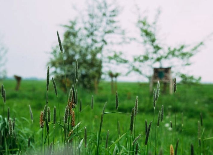 Guest house 673208 - Holiday property Groene hart - Vakantiehuisje in Aarlanderveen