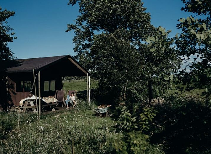 Geniet van de rust bij Vakantiehuisje in Aarlanderveen, gelegen in het Groene Hart van Zuid-Holland, met een prachtig uitzicht op de natuur.
