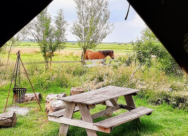 Geniet van de rust bij Vakantiehuisje in Aarlanderveen, gelegen in het Groene Hart van Zuid-Holland, met een prachtig uitzicht op de natuur.
