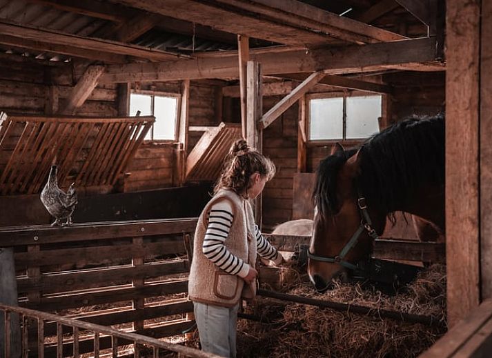 Geniet van watersportavonturen bij Vakantiehuisje in Aarlanderveen, gelegen in het Groene Hart van Zuid-Holland.