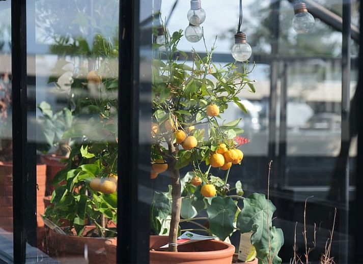 Gemuetliches Wohnzimmer in Cottage in Boskoop Ferienhaus mit Blick auf die Natur, Suedholland.
