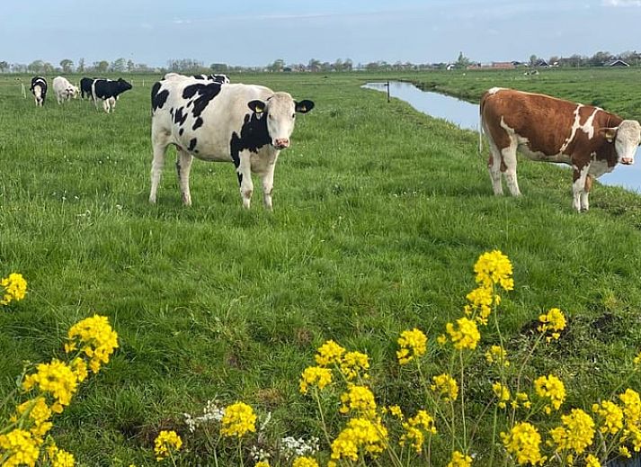 Interior of Cottage in Oud Ade, bright interior with views of nature, South Holland.