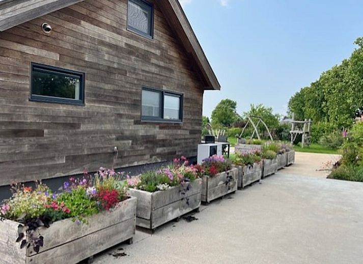 Cottage in Noorden, Green Heart, South Holland with wooden facade and colorful flower boxes, surrounded by lush nature.