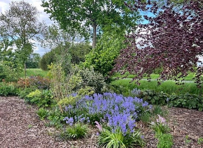 Enjoy the terrace at Holiday Home in Noorden, Green Heart, South Holland, surrounded by lush nature and rustic charm.