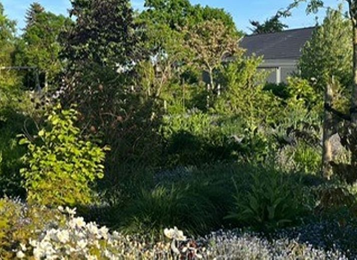 Enjoy the terrace at Holiday Home in Noorden, Green Heart, South Holland, surrounded by lush nature and rustic charm.