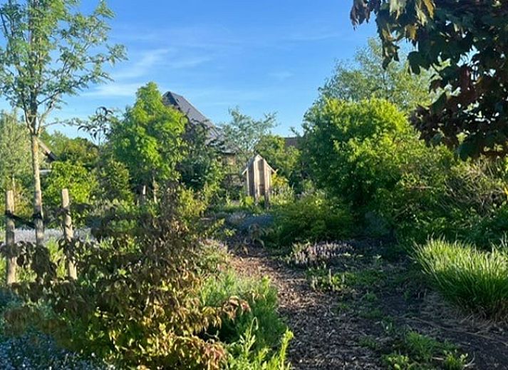 Enjoy the terrace at Holiday Home in Noorden, Green Heart, South Holland, surrounded by lush nature and rustic charm.